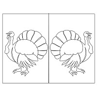 turkey needle case outside